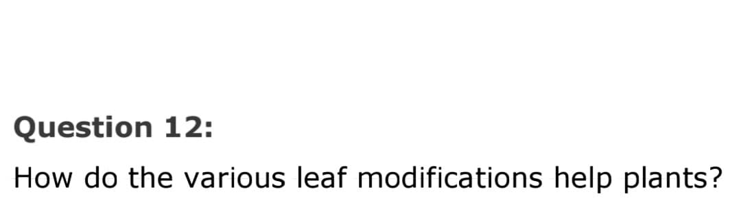 Question 12:
How do the various leaf modifications help plants?
