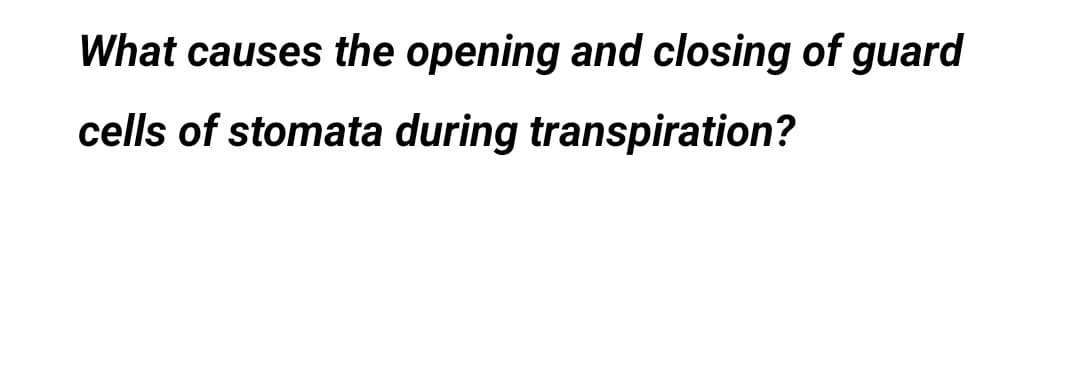 What causes the opening and closing of guard
cells of stomata during transpiration?
