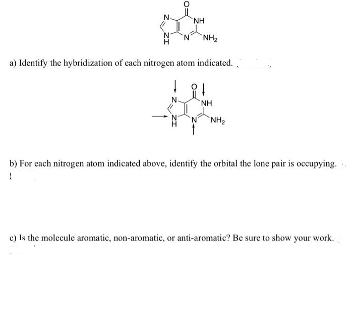 NH
NH₂
a) Identify the hybridization of each nitrogen atom indicated.
NH
NH₂
b) For each nitrogen atom indicated above, identify the orbital the lone pair is occupying.
1
c) Is the molecule aromatic, non-aromatic, or anti-aromatic? Be sure to show your work.