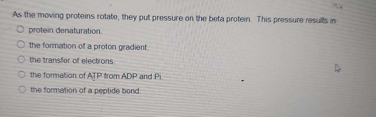 As the moving proteins rotate, they put pressure on the beta protein. This pressure results in
O protein denaturation.
O the formation of a proton gradient.
O the transfer of electrons.
O the formation of ATP from ADP and Pi.
O the formation of a peptide bond.
16500