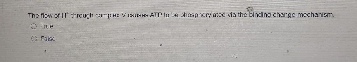 The flow of H* through complex V causes ATP to be phosphorylated via the binding change mechanism.
True
False