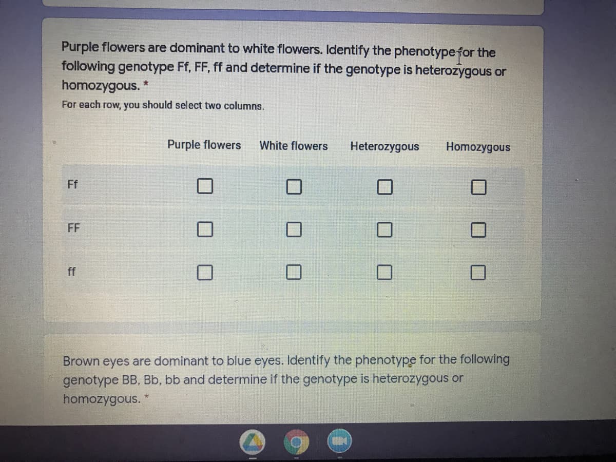 Purple flowers are dominant to white flowers. Identify the phenotypefor the
following genotype Ff, FF, ff and determine if the genotype is heterozygous or
homozygous. *
For each row, you should select two columns.
Purple flowers
White flowers
Heterozygous
Homozygous
Ff
FF
ff
Brown eyes are dominant to blue eyes. Identify the phenotype for the following
genotype BB, Bb, bb and determine if the genotype is heterozygous or
homozygous. *
口 ロ口
