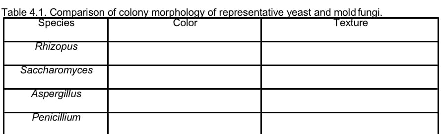 Table 4.1. Comparison of colony morphology of representative yeast and mold fungi.
Color
Texture
Species
Rhizopus
Saccharomyces
Aspergillus
Penicillium