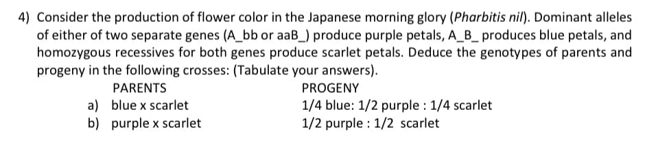 4) Consider the production of flower color in the Japanese morning glory (Pharbitis nil). Dominant alleles
of either of two separate genes (A_bb or aaB_) produce purple petals, A_B_ produces blue petals, and
homozygous recessives for both genes produce scarlet petals. Deduce the genotypes of parents and
progeny in the following crosses: (Tabulate your answers).
PARENTS
a) blue x scarlet
b) purple x scarlet
PROGENY
1/4 blue: 1/2 purple : 1/4 scarlet
1/2 purple : 1/2 scarlet