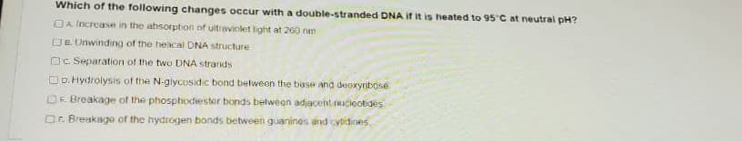 Which of the following changes occur with a double-stranded DNA if it is heated to 95 C at neutral pH?
OA Increase in the absorption of uitraviolet light at 260 nm
OB. Unwinding of the helical DNA structure
Oc Separation of the two DNA strands
Do.Hydrolysis of the N-glycosidic bond belween the base and deoxyribose
DE Breakage of the phosphodiester bonds belwean adjacent ucieotides
Dr. Breakage of the hydrogen bonds between guanines and cytidines.
