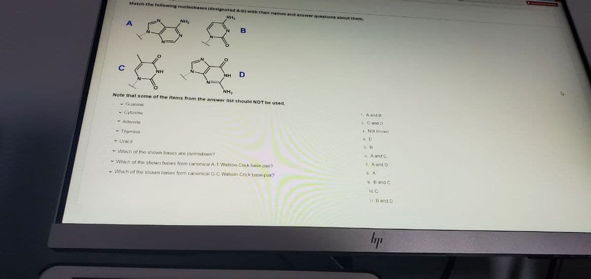 Match the following nucleobases (designated AD) with their names and answer questions about them.
NH,
NH,
C
D
NH2
Note that some of the items from the answer list should NOT be used.
Guanine
1. Aand B
- Cytosine
2 Cand D
• Adenine
3. Not shuwn
v Thymine
4. D
v Uracil
5. B
a Aand C
v Which of tho shown bases are pyrimidines?
7. A and O
v Which of the shown bases form canonical A-T Watson-Crick base pair?
S. A
v Which of the shown bases form canonical G-C Watson.Crick base-pair?
9. Band C
10. C
11. Band D
