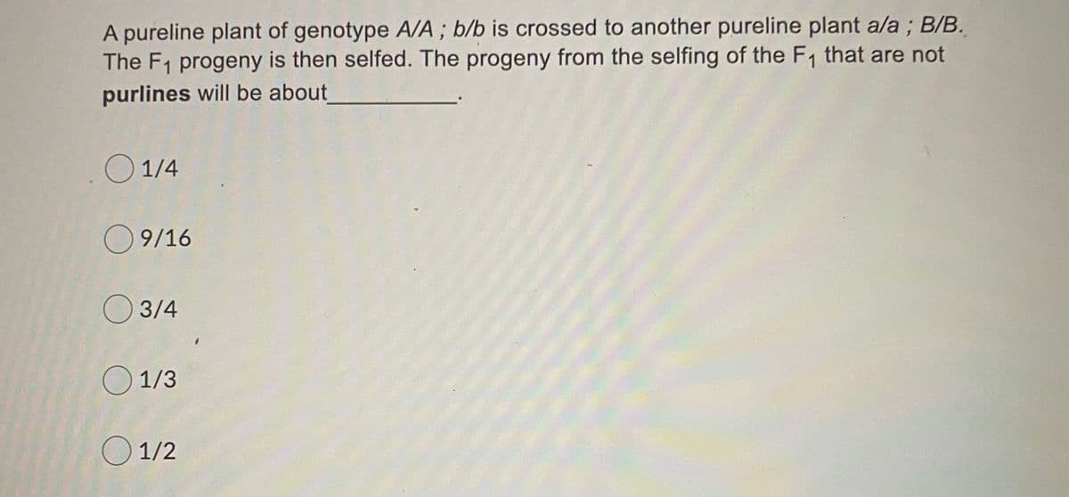 A pureline plant of genotype A/A ; b/b is crossed to another pureline plant a/a ; B/B.
The F1 progeny is then selfed. The progeny from the selfing of the F, that are not
purlines will be about
O 1/4
O 9/16
O 3/4
O 1/3
O 1/2
