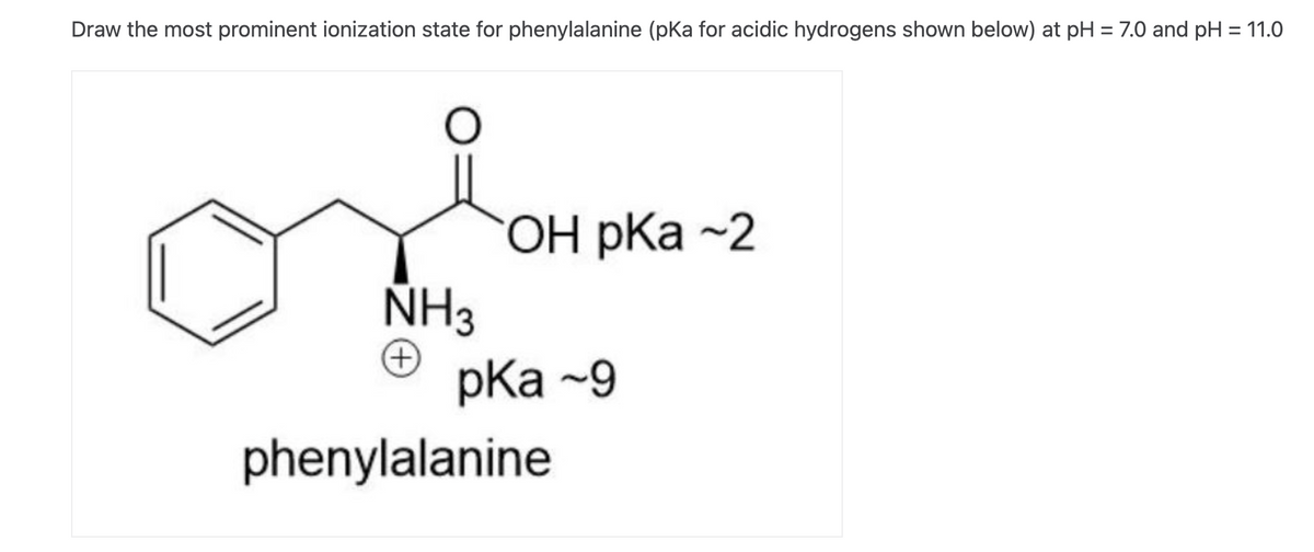 Draw the most prominent ionization state for phenylalanine (pKa for acidic hydrogens shown below) at pH = 7.0 and pH = 11.0
O
NH3
(+)
OH pKa -2
pKa -9
phenylalanine