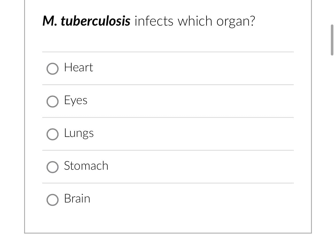 M. tuberculosis infects which organ?
O Heart
Eyes
O Lungs
Stomach
O Brain