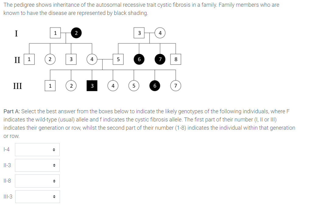 The pedigree shows inheritance of the autosomal recessive trait cystic fibrosis in a family. Family members who are
known to have the disease are represented by black shading.
I
1
2
3
4
II 1
3
4
6
8
7
III
1
2
3
4
5
6
7
Part A: Select the best answer from the boxes below to indicate the likely genotypes of the following individuals, where F
indicates the wild-type (usual) allele and f indicates the cystic fibrosis allele. The first part of their number (I, II or III)
indicates their generation or row, whilst the second part of their number (1-8) indicates the individual within that generation
or row.
|-4
Il-3
Il-8
III-3

