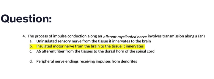 Question:
4. The process of impulse conduction along an efferent myelinated nerve involves transmission along a (an)
Uninsulated sensory nerve from the tissue it innervates to the brain
Insulated motor nerve from the brain to the tissue it innervates
a.
b.
c. AS afferent fiber from the tissues to the dorsal horn of the spinal cord
d.
Peripheral nerve endings receiving impulses from dendrites