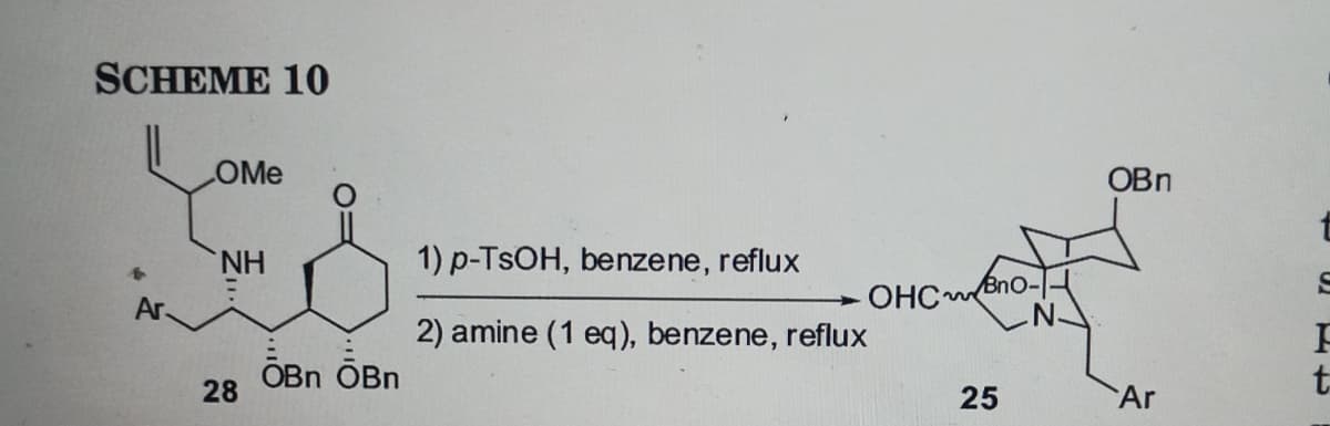 SCHEME 10
COMe
NH
28
OBN OBn
1) p-TsOH, benzene, reflux
2) amine (1 eq), benzene, reflux
OHCBno-
25
OBn
Ar