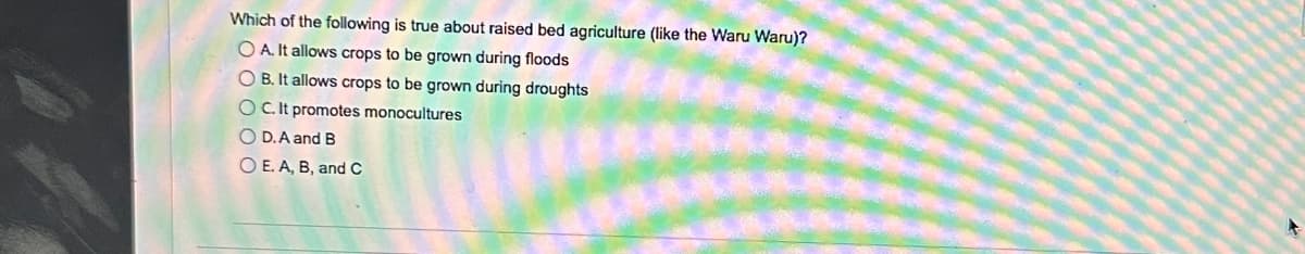 Which of the following is true about raised bed agriculture (like the Waru Waru)?
OA. It allows crops to be grown during floods
OB. It allows crops to be grown during droughts
OC. It promotes monocultures
OD. A and B
O E. A, B, and C