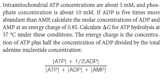 Intramitochondrial ATP concentrations are about 5 mM, and phos-
phate concentration is about 10 mM. If ADP is five times more
abundant than AMP, calculate the molar concentrations of ADP and
AMP at an energy charge of 0.85. Calculate AG for ATP hydrolysis at
37 °C under these conditions. The energy charge is the concentra-
tion of ATP plus half the concentration of ADP divided by the total
adenine nucleotide concentration:
[ATP] + 1/2[ADP]
[ATP] + [ADP] + [AMP]
