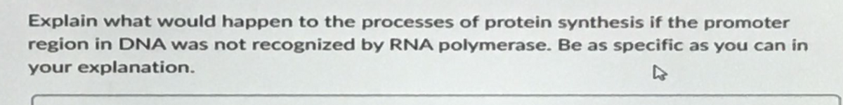 Explain what would happen to the processes of protein synthesis if the promoter
region in DNA was not recognized by RNA polymerase. Be as specific as you can in
your explanation.