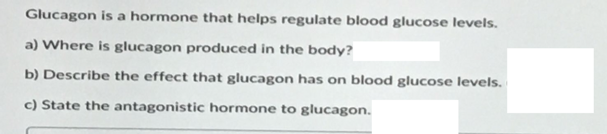 Glucagon is a hormone that helps regulate blood glucose levels.
a) Where is glucagon produced in the body?
b) Describe the effect that glucagon has on blood glucose levels.
c) State the antagonistic hormone to glucagon.