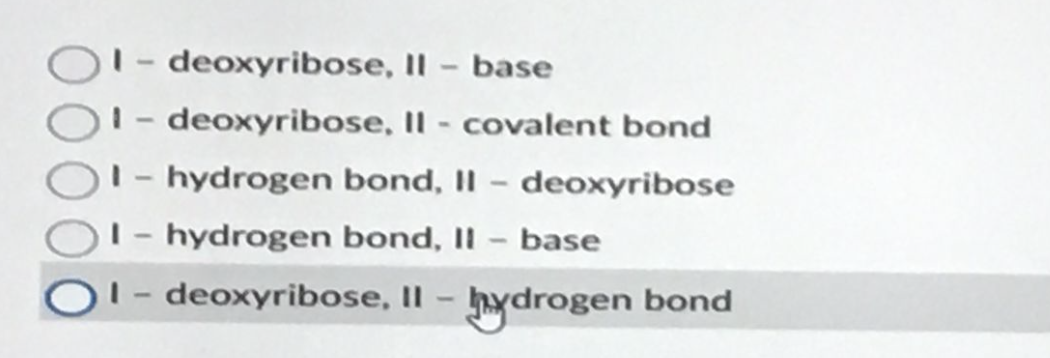 II - base
II - covalent bond
1- hydrogen bond, II - deoxyribose
I - hydrogen bond, II - base
1 - deoxyribose, II - hydrogen bond
deoxyribose,
OI-deoxyribose,
