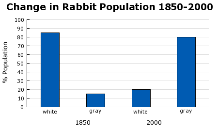 Change in Rabbit Population 1850-2000
100
90
80
70
60
50
40
30
20
10
white
gray
white
gray
1850
2000
% Population
