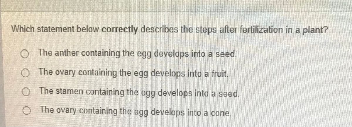 Which statement below correctly describes the steps after fertilization in a plant?
O The anther containing the egg develops into a seed.
The ovary containing the egg develops into a fruit.
The stamen containing the egg develops into a seed.
O The ovary containing the egg develops into a cone.
