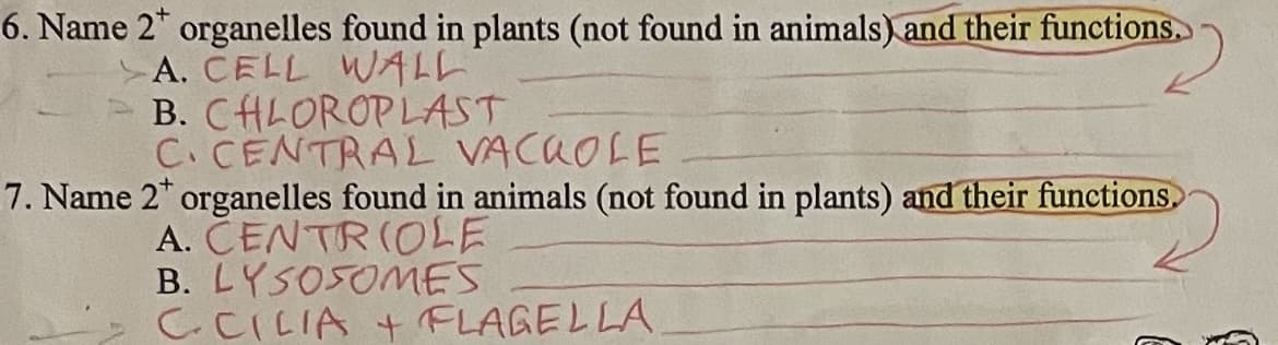 6. Name 2* organelles found in plants (not found in animals) and their functions.
A. CELL WALL
B. CHLOROPLAST
C.CENTRAL VACUOLE
7. Name 2* organelles found in animals (not found in plants) and their functions
A. ČENTR(OLE
B. LYSOSOMES
C.CILIA t FLAGELLA
