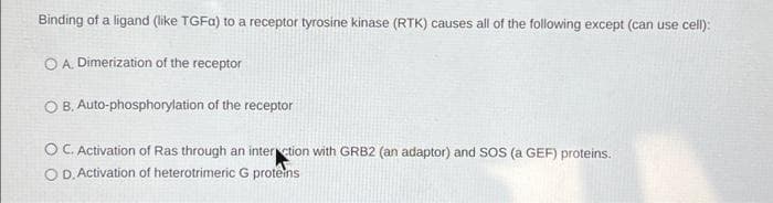 Binding of a ligand (like TGFA) to a receptor tyrosine kinase (RTK) causes all of the following except (can use cell):
OA. Dimerization of the receptor
B. Auto-phosphorylation of the receptor
O C. Activation of Ras through an interction with GRB2 (an adaptor) and SOS (a GEF) proteins.
O D. Activation of heterotrimeric G proteins
