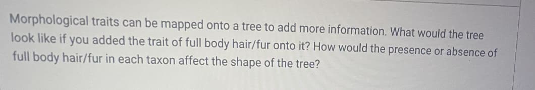 Morphological traits can be mapped onto a tree to add more information. What would the tree
look like if you added the trait of full body hair/fur onto it? How would the presence or absence of
full body hair/fur in each taxon affect the shape of the tree?