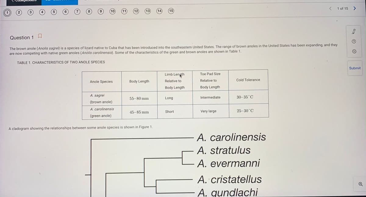 1 of 15 >
8
10
11
12
13
14)
15
Question 1
The brown anole (Anolis sagrei) is a species of lizard native to Cuba that has been introduced into the southeastern United States. The range of brown anoles in the United States has been expanding, and they
are now competing with native green anoles (Anolis carolinensis). Some of the characteristics of the green and brown anoles are shown in Table 1.
TABLE 1. CHARACTERISTICS OF TWO ANOLE SPECIES
Submit
Limb Lenth
Toe Pad Size
Anole Species
Body Length
Relative to
Relative to
Cold Tolerance
Body Length
Body Length
A. sagrei
55-80 mm
Long
Intermediate
30-35°C
(brown anole)
A. carolinensis
45-85 mm
Short
Very large
25-30°C
(green anole)
A cladogram showing the relationships between some anole species is shown in Figure 1.
A. carolinensis
A. stratulus
A. evermanni
A. cristatellus
A. gundlachi
