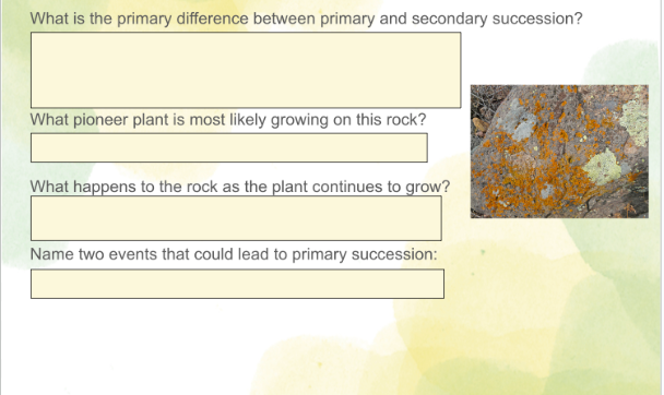 What is the primary difference between primary and secondary succession?
What pioneer plant is most likely growing on this rock?
What happens to the rock as the plant continues to grow?
Name two events that could lead to primary succession: