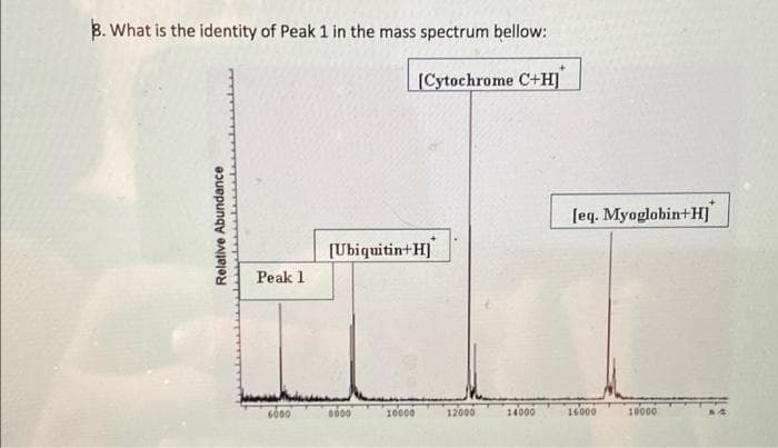 B. What is the identity of Peak 1 in the mass spectrum bellow:
[Cytochrome C+H]
[eq. Myoglobin+H]
[Ubiquitin+H]
Peak 1
6000
000
10000
12000
14000
16000
18000
Relative Abundance
