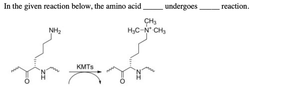 In the given reaction below, the amino acid
NH₂
KMTs
undergoes
CH3
H3C-N* CH3
reaction.
