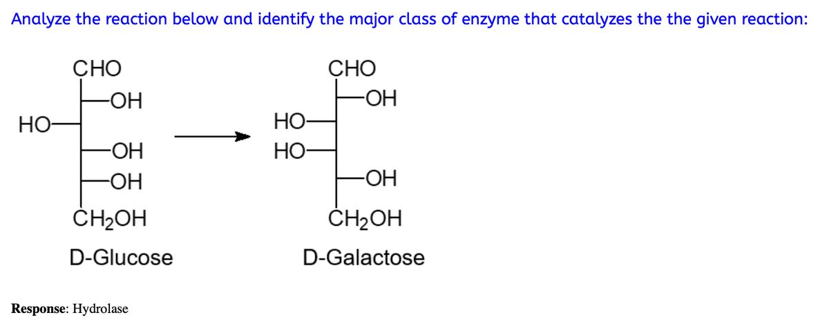 Analyze the reaction below and identify the major class of enzyme that catalyzes the the given reaction:
но-
CHO
-ОН
-ОН
-ОН
CH₂OH
D-Glucose
Response: Hydrolase
HO-
HO-
CHO
-ОН
-OH
CH₂OH
D-Galactose