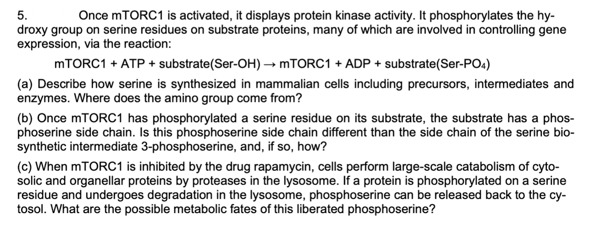 5.
Once mTORC1 is activated, it displays protein kinase activity. It phosphorylates the hy-
droxy group on serine residues on substrate proteins, many of which are involved in controlling gene
expression, via the reaction:
MTORC1 + ATP + substrate(Ser-OH) → MTORC1 + ADP + substrate(Ser-PO4)
(a) Describe how serine is synthesized in mammalian cells including precursors, intermediates and
enzymes. Where does the amino group come from?
(b) Once mTORC1 has phosphorylated a serine residue on its substrate, the substrate has a phos-
phoserine side chain. Is this phosphoserine side chain different than the side chain of the serine bio-
synthetic intermediate 3-phosphoserine, and, if so, how?
(c) When mTORC1 is inhibited by the drug rapamycin, cells perform large-scale catabolism of cyto-
solic and organellar proteins by proteases in the lysosome. If a protein is phosphorylated on a serine
residue and undergoes degradation in the lysosome, phosphoserine can be released back to the cy-
tosol. What are the possible metabolic fates of this liberated phosphoserine?

