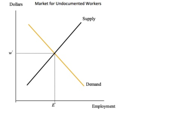 Dollars
Market for Undocumented Workers
Supply
Demand
E
Employment
