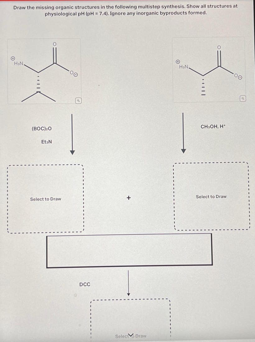 Draw the missing organic structures in the following multistep synthesis. Show all structures at
physiological pH (pH = 7.4). Ignore any inorganic byproducts formed.
+
H3N,
(BOC) ₂0
Et3N
Select to Draw
00
DCC
+
Select Draw
O
H3N
O
CH3OH, H+
Select to Draw
00