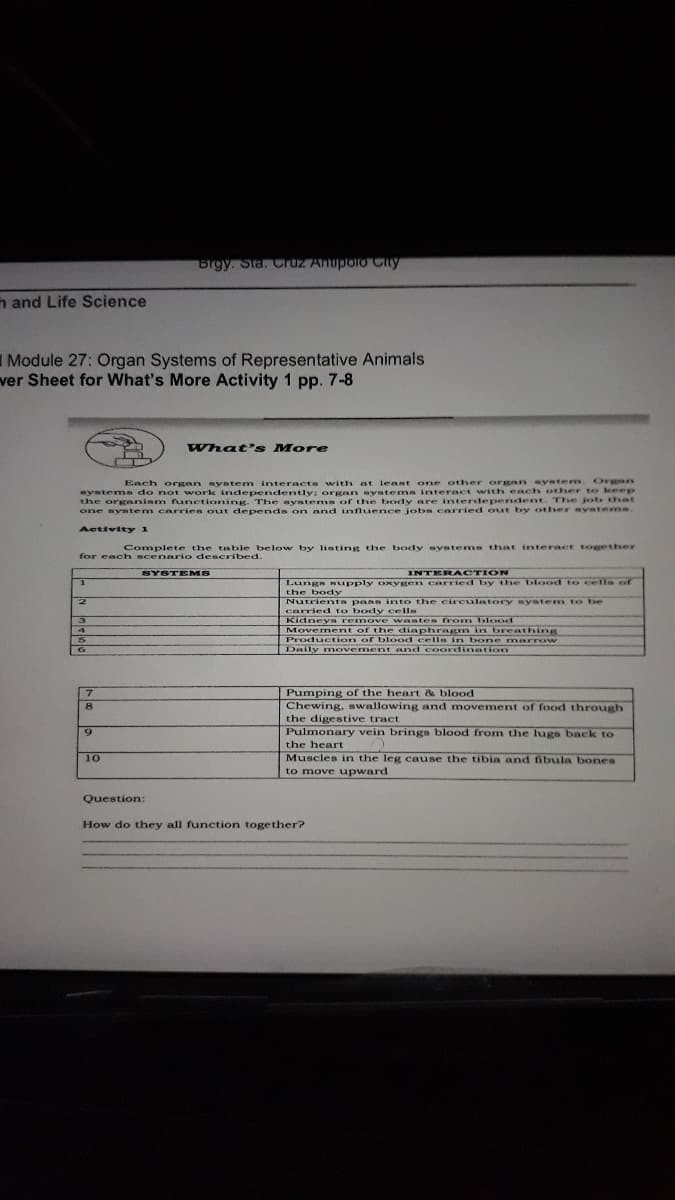 Brgy. Sta. Cruz Anupolo Ciy
h and Life Science
I Module 27: Organ Systems of Representative Animals
ver Sheet for What's More Activity 1 pp. 7-8
What's More
Each organ myatem interacts with at least one other organ system. Or an
systems do not work independently; organ systems interact with e ch other to leep
the organism functioning. The systems of the body are interdependent. The job thae
one system carries out depends on and influence jobe carried out by other systeme.
Activity 1
Complete the table below by listing the body systems that interaet togethser
for each scenario described.
SYSTEMS
INTERACTION
Lungs Bupply ONVEE n carried by the blo od to cells of
the body
Nutrients paas into the circulatory system to be
carried to body cells
KidneyS remove wastes from blood
Movement of the diaphragm in breathing
Production of blood cells in bone marr ow
3.
4
5
6.
Daily movement and coordinetion
n
Pumping of the heart & blood
Chewing, swallowing and movement of food through
the digestive tract
Pulmonary vein brings blood from the lugs back to
the heart
7.
8.
6.
Muscles in the leg cause the tibia and ibula bones
to move upward
10
Question:
How do they all function together?
