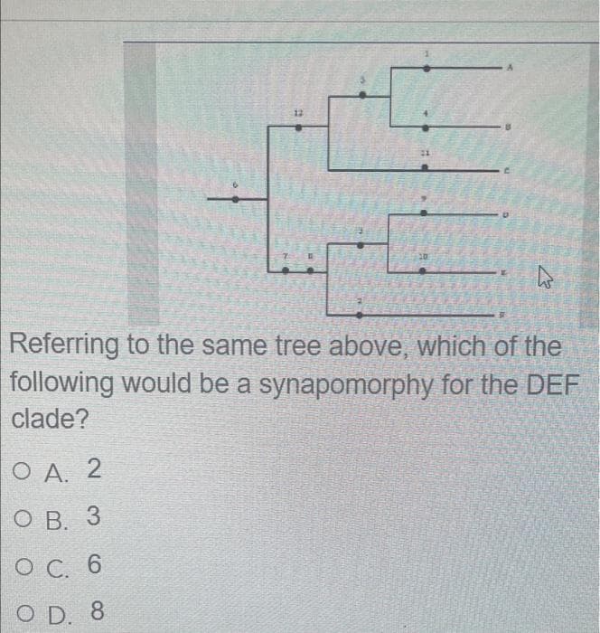 12
Referring to the same tree above, which of the
following would be a synapomorphy for the DEF
clade?
O A. 2
ОВ. 3
О С. 6
O D. 8
