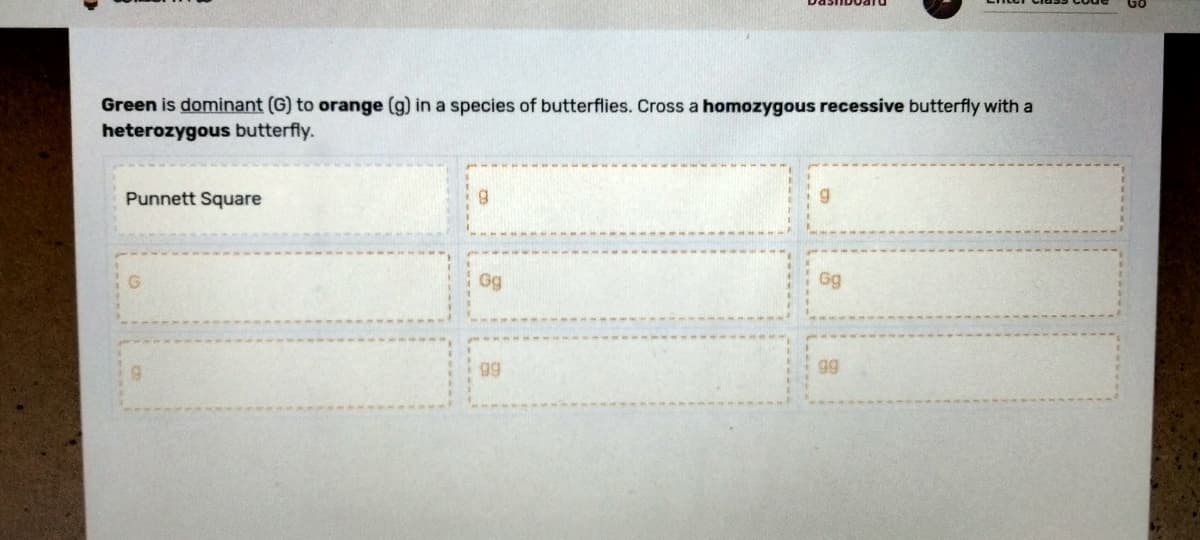 Green is dominant (G) to orange (g) in a species of butterflies. Cross a homozygous recessive butterfly with a
heterozygous butterfly.
Punnett Square
9
g
Gg
99
Gg
99