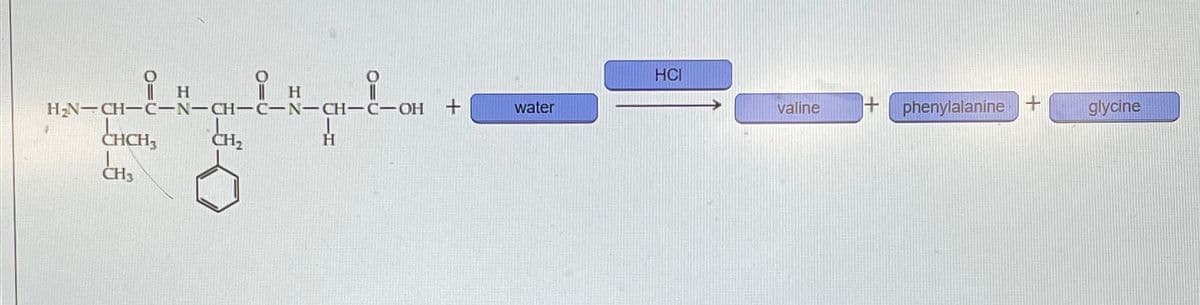 i
H₂N-CH-C-N-CH-C-N-CH-C-OH
CH₂
i
CHCH₂
CH₂
H
H
H
+
water
HCI
valine
phenylalanine +
glycine