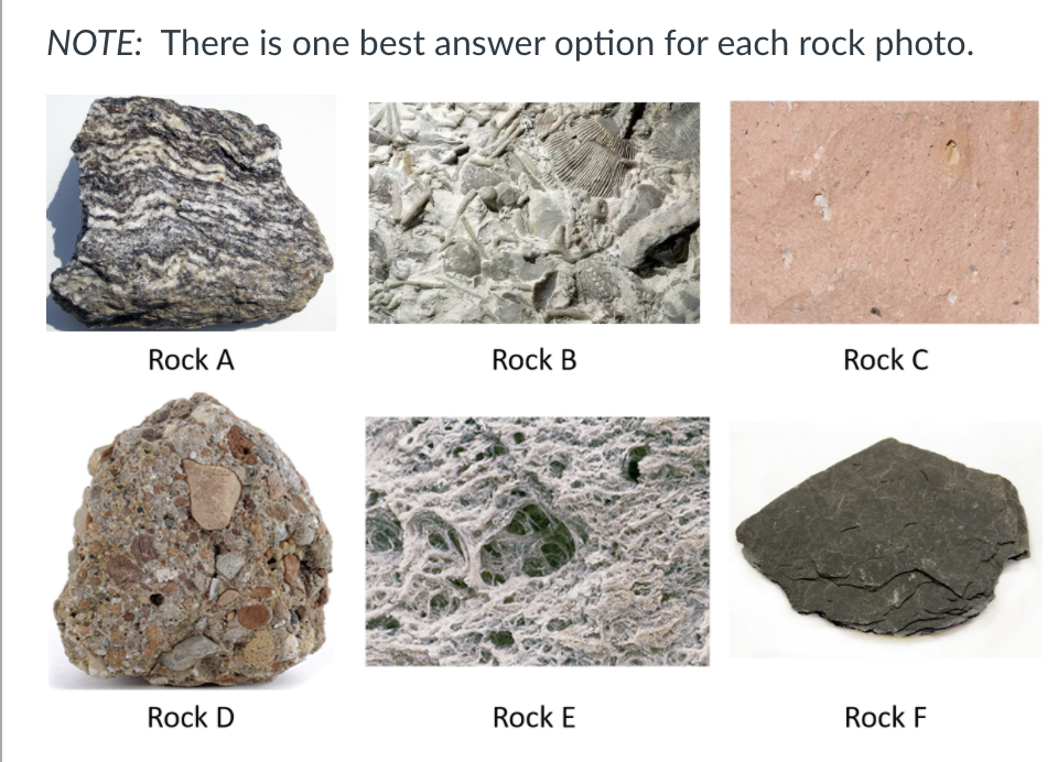 NOTE: There is one best answer option for each rock photo.
Rock A
Rock B
Rock C
Rock D
Rock E
Rock F
