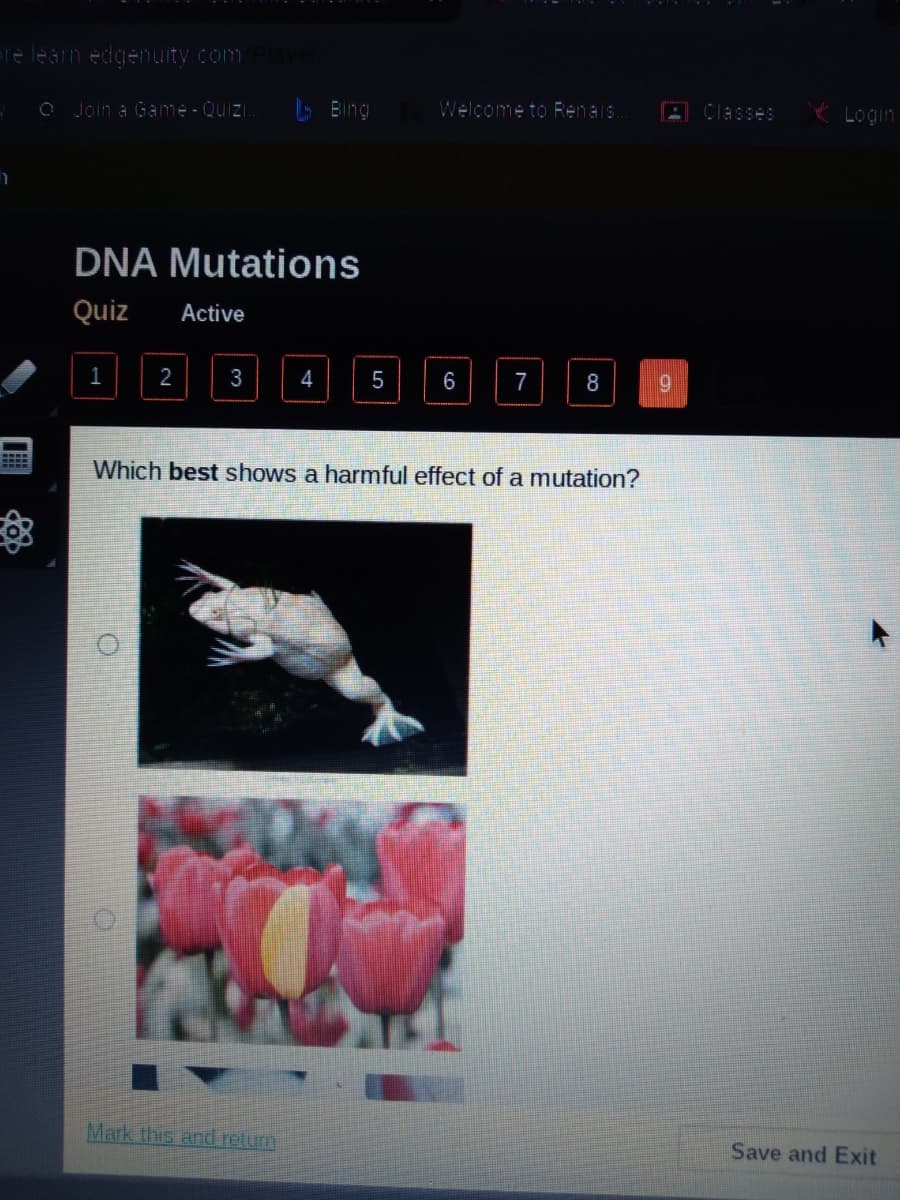 re learn edgenuity com
O Join a Game-Quizi
L Bing
Welcome to Renais.
A Classes
Login
DNA Mutations
Quiz
Active
1
3
4
5
6
7
8
Which best shows a harmful effect of a mutation?
Mark this and retum,
Save and Exit
