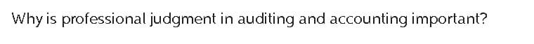 Why is professional judgment in auditing and accounting important?