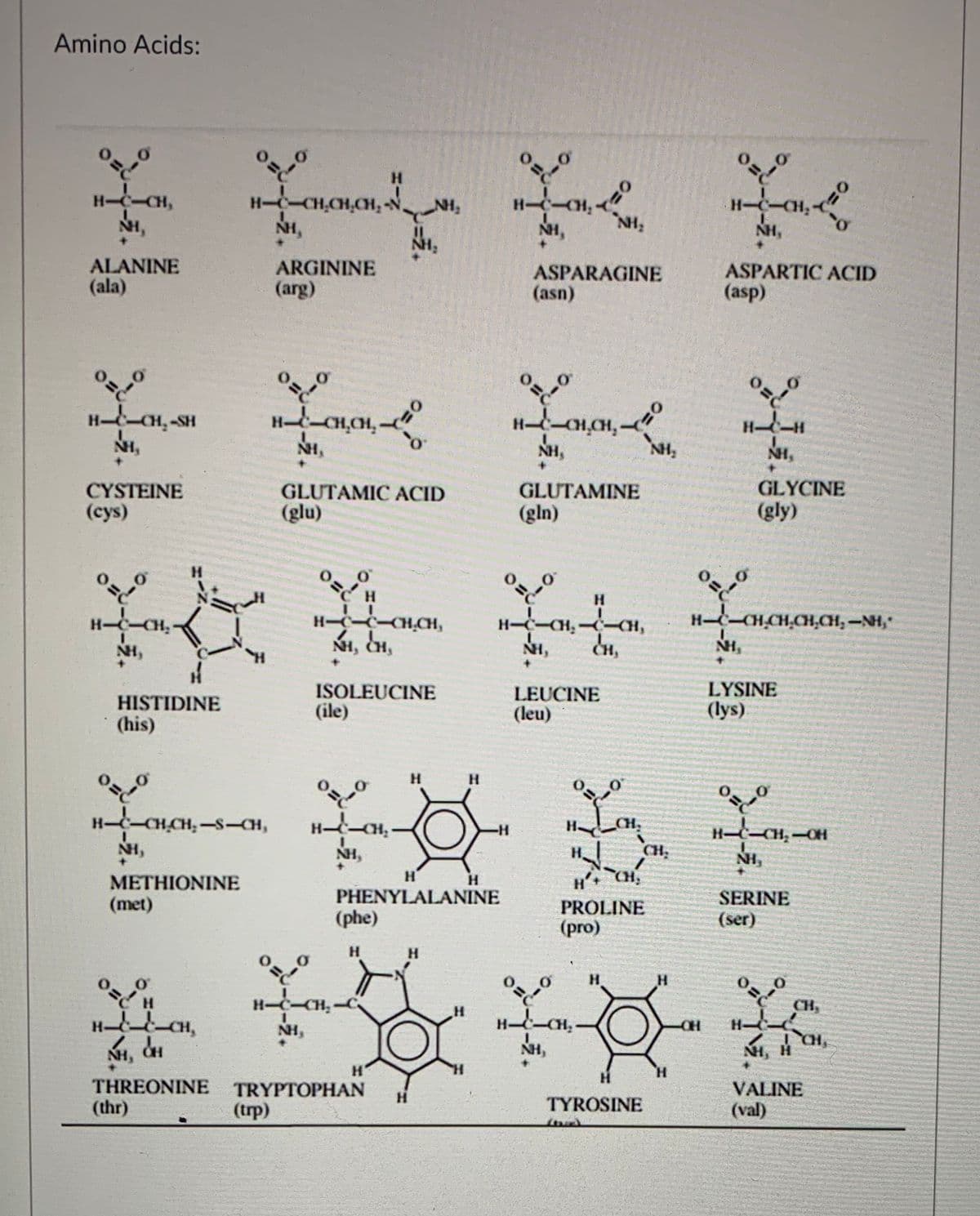 Amino Acids:
H.
H--CH,CH,CH, -N
NH,
H-C-CH,
NH,
H-C-
NH,
NH,
NH,
NH,
IN.
ALANINE
(ala)
ARGININE
(arg)
ASPARTIC ACID
ASPARAGINE
(asn)
(asp)
H-CH,-SH
HCH,CH-
H-H
NH,
NH,
NH,
GLYCINE
CYSTEINE
(cys)
GLUTAMIC ACID
GLUTAMINE
(glu)
(gln)
(gly)
H.
H-CCCH.CH,
NI, CH,
H-C-CH,-CH,
H-C-CHCH,CH,CH, -NH,"
NH,
NH,
NH,
HISTIDINE
(his)
ISOLEUCINE
(ile)
LEUCINE
(leu)
LYSINE
(lys)
H.
H.
H-CHCH, -S-CH,
-H-
H
CH,
H-
NH,
NH,
H.
CH
NH,
H'
H'
CH,
METHIONINE
(met)
PHENYLALANINE
SERINE
PROLINE
(phe)
(ser)
(pro)
H.
H.
H-C-CH-C
CH,
H-
NH,
CH
H-
NH, CH
NH,
NI, H
H'
H.
THREONINE
TRYPTOPHAN
VALINE
H.
(thr)
(trp)
TYROSINE
(val)
