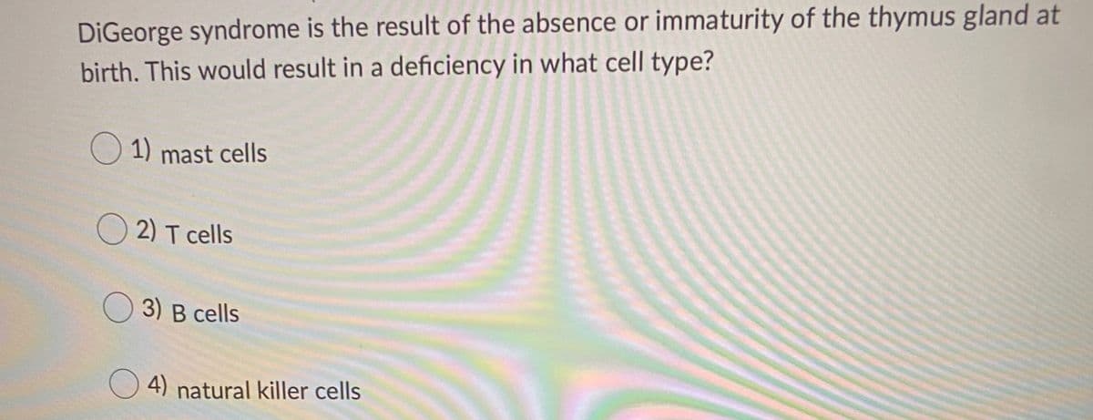 DiGeorge syndrome is the result of the absence or immaturity of the thymus gland at
birth. This would result in a deficiency in what cell type?
O 1) mast cells
O 2) T cells
O 3) B cells
4) natural killer cells
