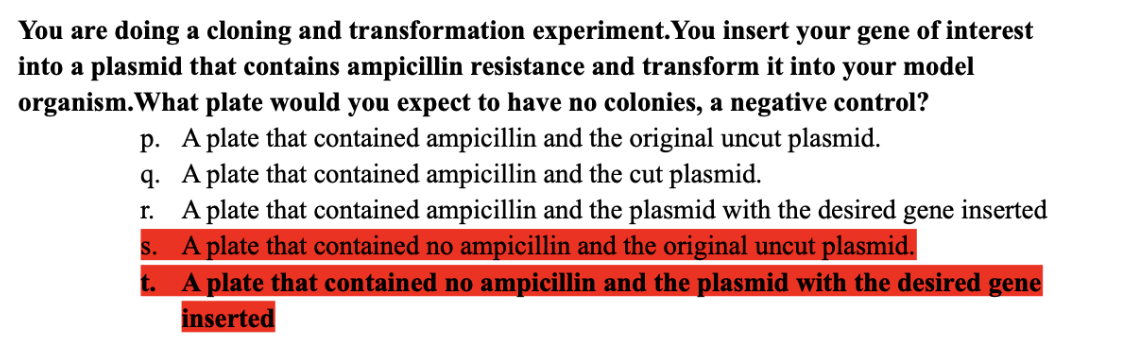You are doing a cloning and transformation experiment. You insert your gene of interest
into a plasmid that contains ampicillin resistance and transform it into your model
organism.What plate would you expect to have no colonies, a negative control?
A plate that contained ampicillin and the original uncut plasmid.
p.
q. A plate that contained ampicillin and the cut plasmid.
r.
A plate that contained ampicillin and the plasmid with the desired gene inserted
A plate that contained no ampicillin and the original uncut plasmid.
A plate that contained no ampicillin and the plasmid with the desired gene
inserted