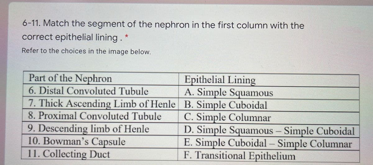 6-11. Match the segment of the nephron in the first column with the
correct epithelial lining. *
Refer to the choices in the image below.
Part of the Nephron
Epithelial Lining
A. Simple Squamous
6. Distal Convoluted Tubule
7. Thick Ascending Limb of Henle B. Simple Cuboidal
8. Proximal Convoluted Tubule
9. Descending limb of Henle
10. Bowman's Capsule
11. Collecting Duct
C. Simple Columnar
D. Simple Squamous - Simple Cuboidal
E. Simple Cuboidal - Simple Columnar
F. Transitional Epithelium
