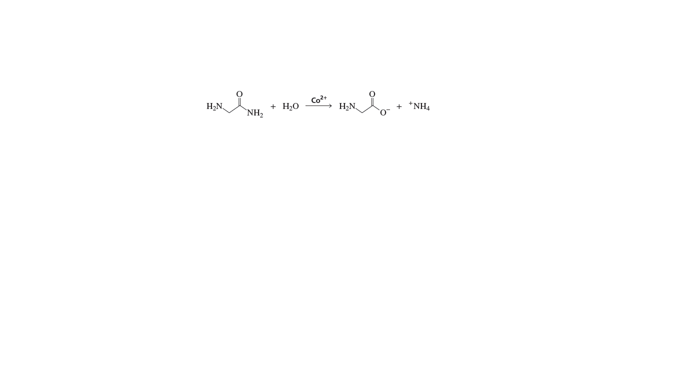 Co2+
H,N.
H2O
H2N.
+ *NH4
+
`NH2
