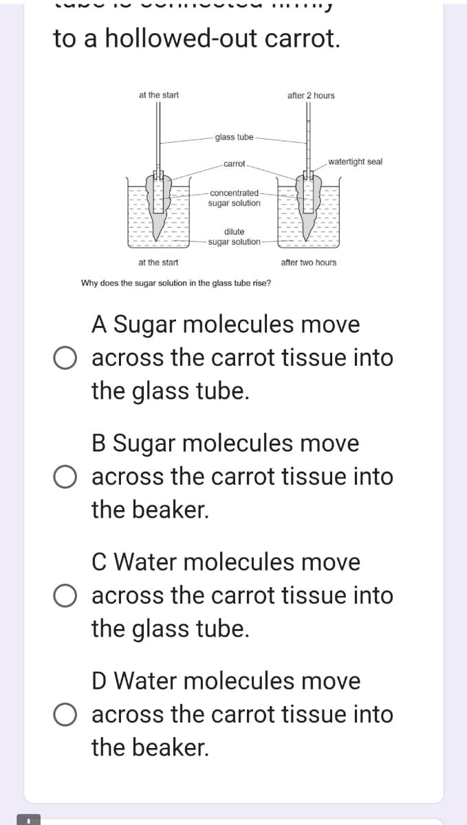 to a hollowed-out carrot.
at the start
at the start
-glass tube-
carrot.
concentrated-
sugar solution
dilute
sugar solution-
……………….
Why does the sugar solution in the glass tube rise?
after 2 hours
watertight seal
after two hours
A Sugar molecules move
across the carrot tissue into
the glass tube.
B Sugar molecules move
across the carrot tissue into
the beaker.
C Water molecules move
across the carrot tissue into
the glass tube.
D Water molecules move
across the carrot tissue into
the beaker.
