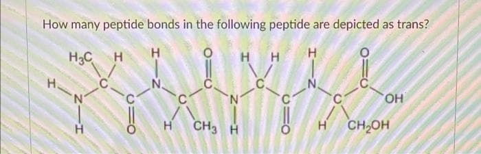 How many peptide bonds in the following peptide are depicted as trans?
H3C
H.
H
нн
N.
'N'
H
CH3 H
CH2OH
