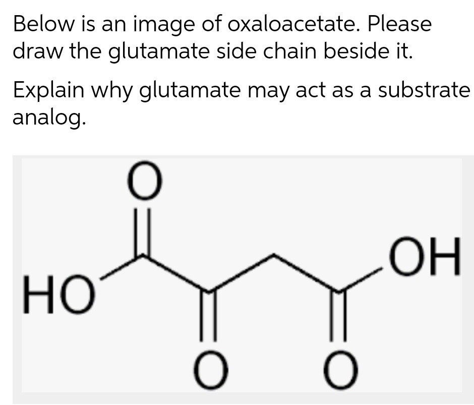 Below is an image of oxaloacetate. Please
draw the glutamate side chain beside it.
Explain why glutamate may act as a substrate
analog.
OH
но
