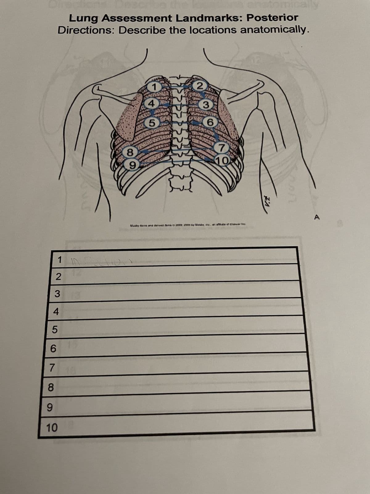 Lung Assessment Landmarks: Posterior
Directions: Describe the locations anatomically.
1
2
3
4
6
5
7
8
9
10
8
9
1
4
5
2
3
6
100
7
10
pmically
Moaby items ana dermed dem 2009, 2005 6y Mosby, the, an afhale of Elsever the
1
